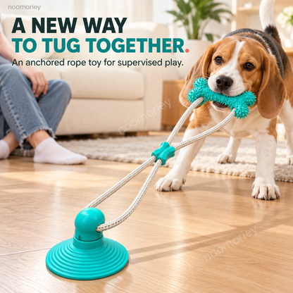 🐾Interactive Suction Cup Dog Tug Toy – Braided Rope Chew Toy with Textured Bite Grip for Indoor Play