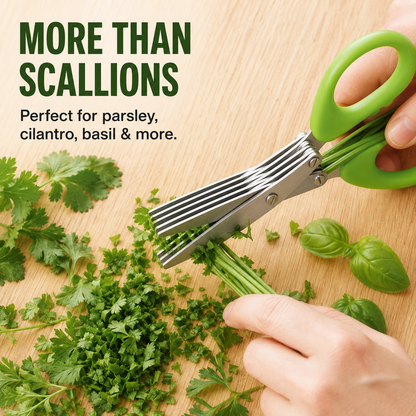 ✀Stainless Steel 5 Blades Scallion Cutter Scissors