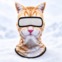 Orange Tabby