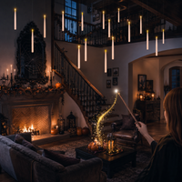 🪄 12 Candles + 1 Magic Wand