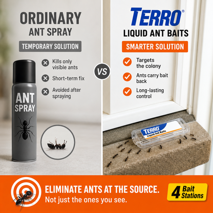 💥New Launch | Ant Killer Bait Stations