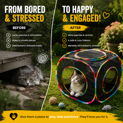 🐾 Foldable Cat Play Cube – A Cozy Hideout for Curious Cats
