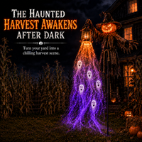 Haunted Scarecrow