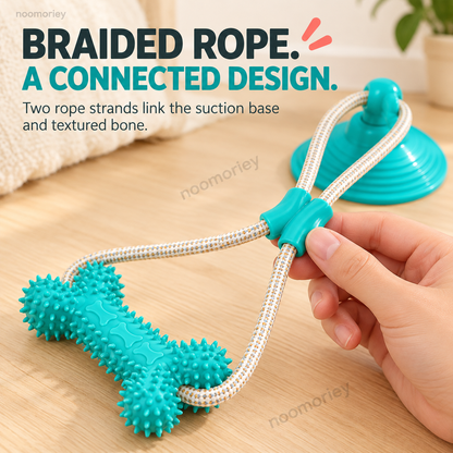 🐾Interactive Suction Cup Dog Tug Toy – Braided Rope Chew Toy with Textured Bite Grip for Indoor Play
