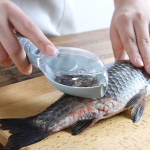 Fish Scale Remover with Collection Cover – Cleaner Kitchen Prep 🐟