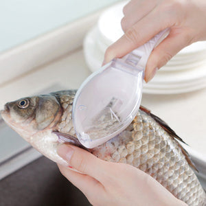 Fish Scale Remover with Collection Cover – Cleaner Kitchen Prep 🐟