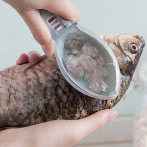 Fish Scale Remover with Collection Cover – Cleaner Kitchen Prep 🐟