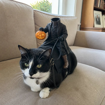 😺The Headless Horseman Rider™ Pet Costume🎃
