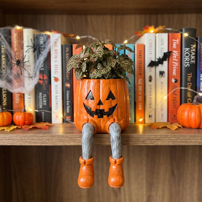 👻Halloween succulent pots