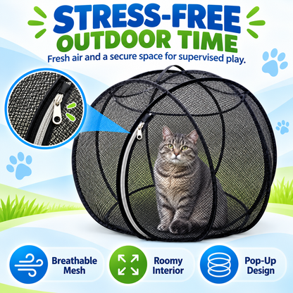 🐱 Pop-Up Cat Playpen 🌿 Fresh Air, Safe Space, Happy Cat
