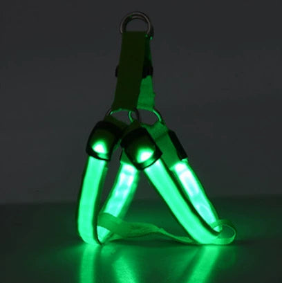 ✨ LED Dog Walking Set – Light Up Every Night Walk