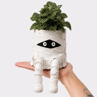 🧟‍♂️Little Mummy