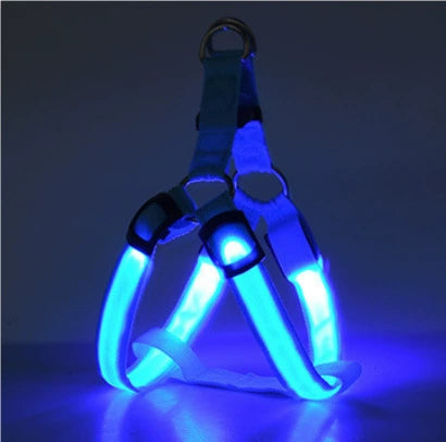 ✨ LED Dog Walking Set – Light Up Every Night Walk