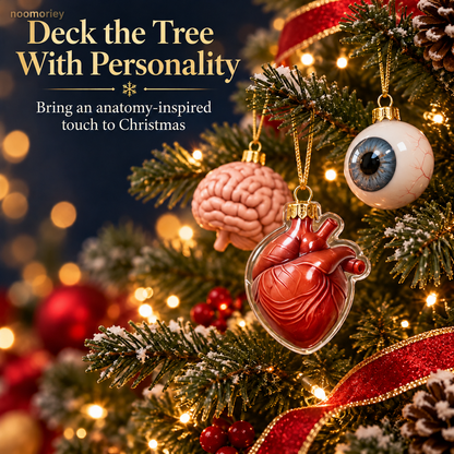 🫀 Anatomy Christmas Advent Calendar – A Curious Holiday Countdown 🎄
