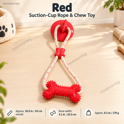 🐾Interactive Suction Cup Dog Tug Toy – Braided Rope Chew Toy with Textured Bite Grip for Indoor Play