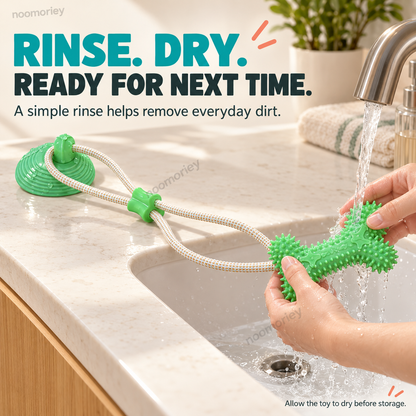 🐾Interactive Suction Cup Dog Tug Toy – Braided Rope Chew Toy with Textured Bite Grip for Indoor Play