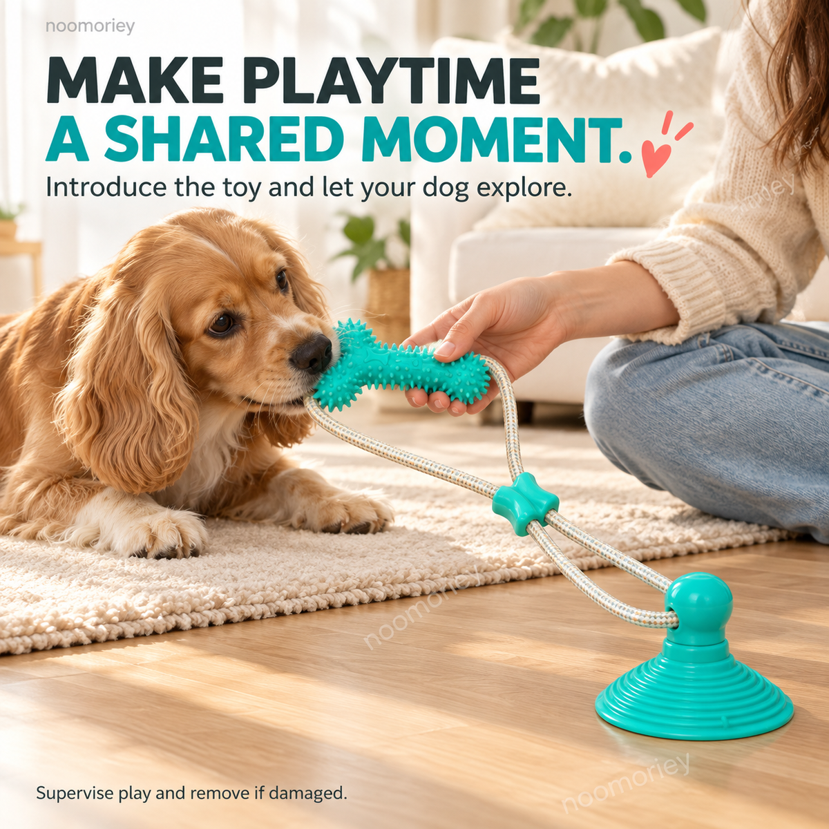 🐾Interactive Suction Cup Dog Tug Toy – Braided Rope Chew Toy with Textured Bite Grip for Indoor Play