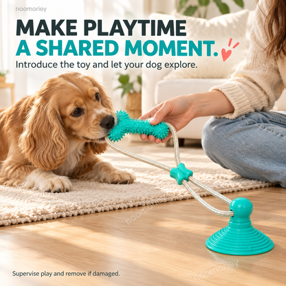 🐾Interactive Suction Cup Dog Tug Toy – Braided Rope Chew Toy with Textured Bite Grip for Indoor Play
