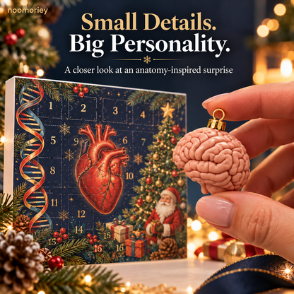 🫀 Anatomy Christmas Advent Calendar – A Curious Holiday Countdown 🎄