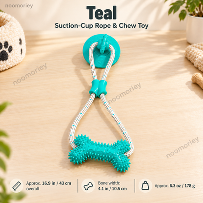 🐾Interactive Suction Cup Dog Tug Toy – Braided Rope Chew Toy with Textured Bite Grip for Indoor Play