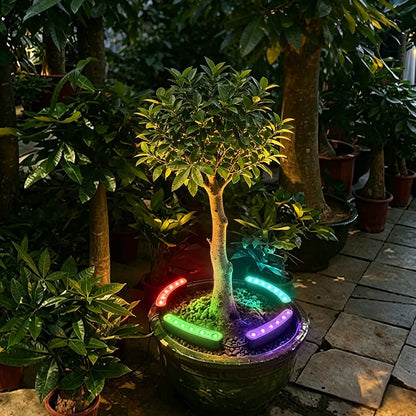 Solar Outdoor Tree Ring Uplights