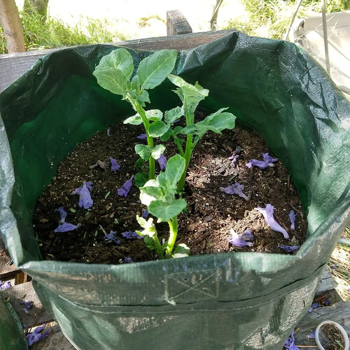 10 Gal Potato Growing Bags (Set of 3)