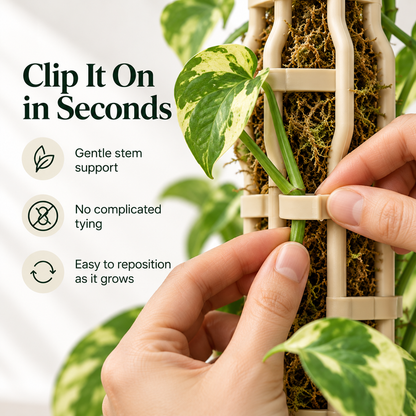 🌿 Stackable Climbing Plant Support Pole – Vine Clips, Moss Fill & Top Watering Design