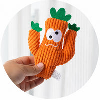 Orange Cactus