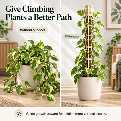 🌿 Stackable Climbing Plant Support Pole – Vine Clips, Moss Fill & Top Watering Design