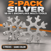 2-Pack Silver