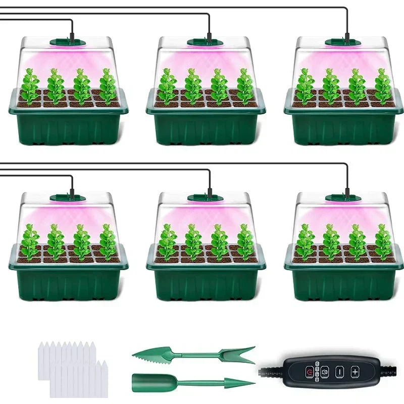 🌱 Seed Starter Trays with Grow Lights – Grow Your Own Little Indoor Garden | 4/5/6-Tray Set