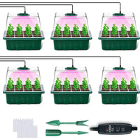 6-Tray Set