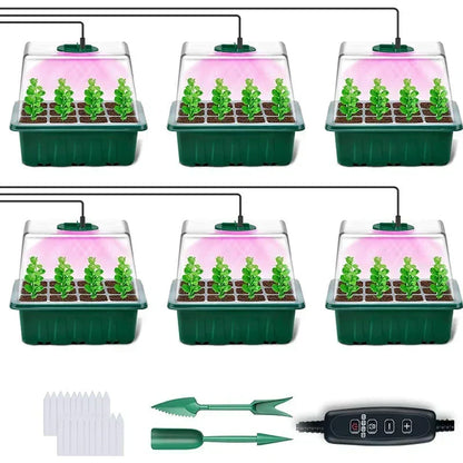 🌱 Seed Starter Trays with Grow Lights – Grow Your Own Little Indoor Garden | 4/5/6-Tray Set