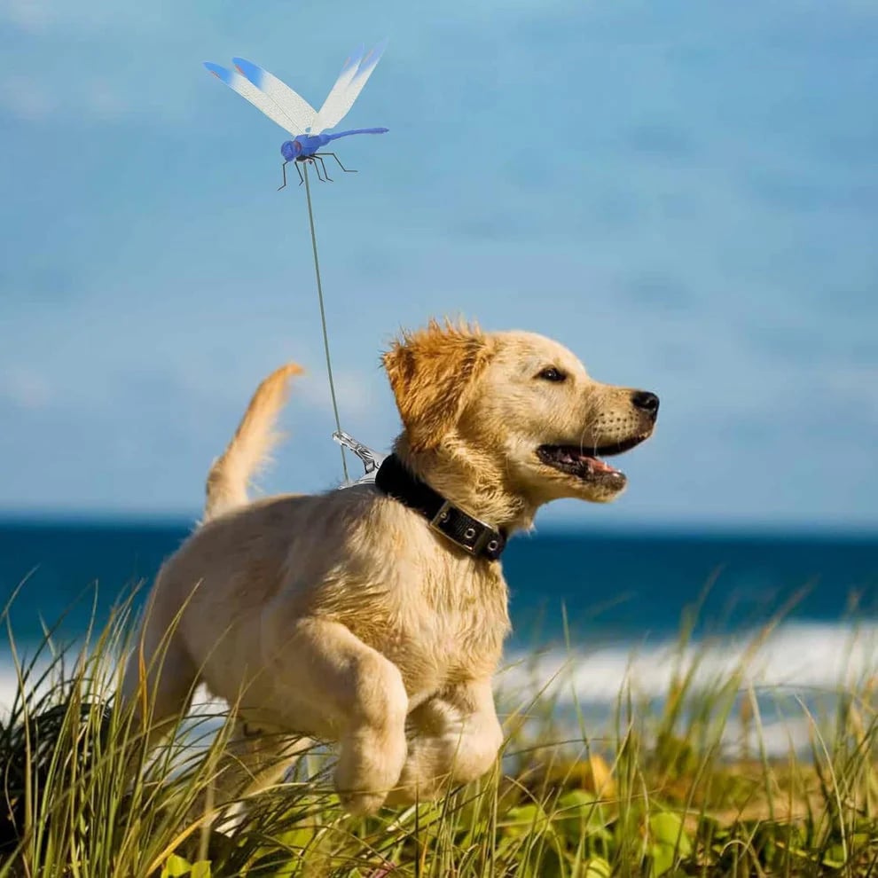 2026 Summer Hot Sale 🔥Clip-On Fake Dragonfly Decoy | Weather-Resistant Outdoor Pest Control Clip
