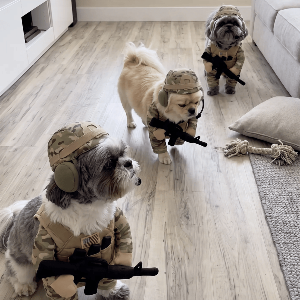 Funny Soldier Dog Costume – The Cutest Little Recruit 🪖