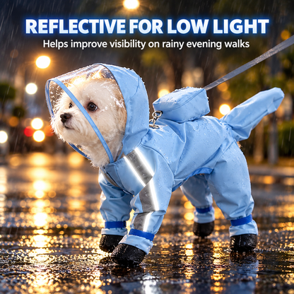 🌧️Small Dog Raincoat and Rain Shoes Set🎒