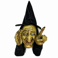 witch voyeur