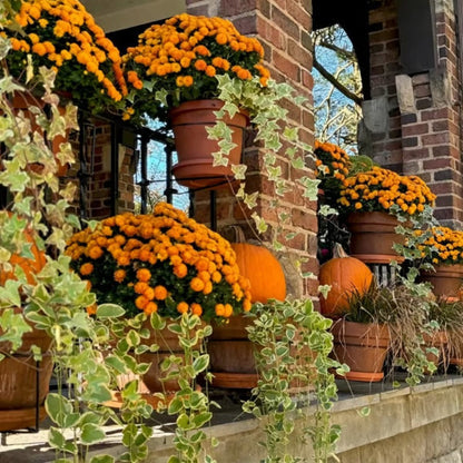🌿 Clip-On Railing Planter Holder – Turn Empty Rails Into Garden Space