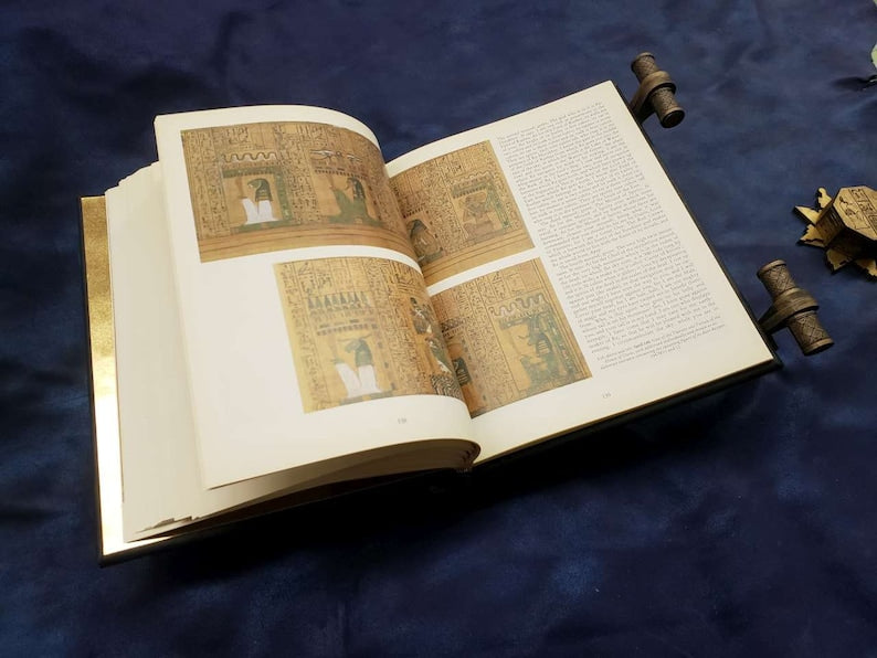 📙Scaled The Mummy Book Of The Dead and Living with key🔑