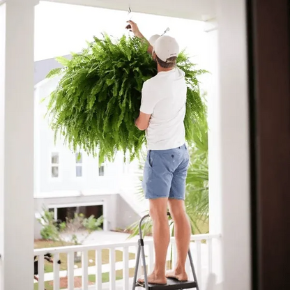 🌿 Glowing Boston Fern with Lights – Zero Water, Zero Mess, 100% Cozy