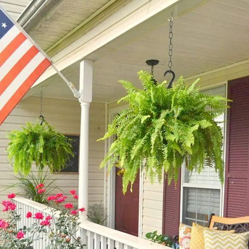 🌿 Glowing Boston Fern with Lights – Zero Water, Zero Mess, 100% Cozy