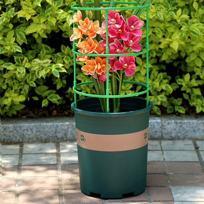 Build the Plant Support as It Grows — Modular 60-Piece Frame Kit
