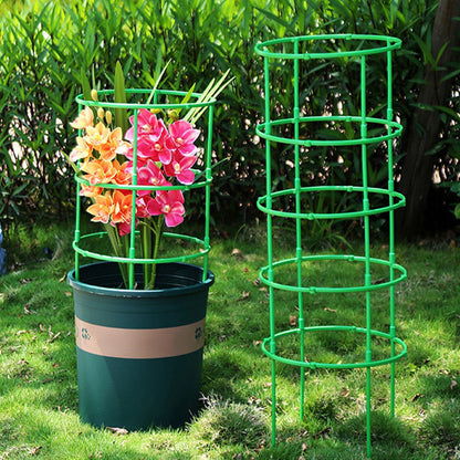 Build the Plant Support as It Grows — Modular 60-Piece Frame Kit