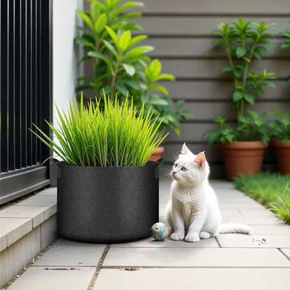🌱Give Roots More Room to Breathe — Fabric Grow Bag with Handles