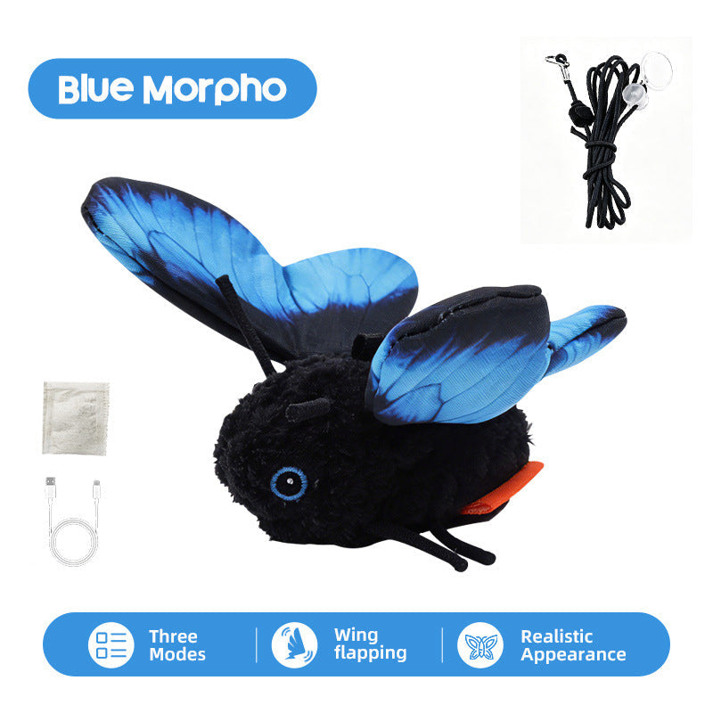 The Moving Butterfly Your Cat Can't Ignore 🦋