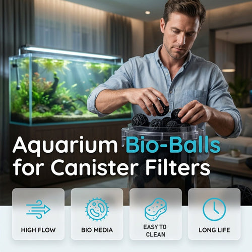 Give Your Aquarium Filter More Biological Surface 🦠