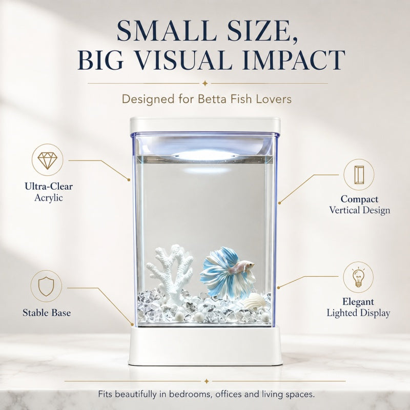 Mini Acrylic Desktop Aquarium – 7-Color LED Light & USB Power