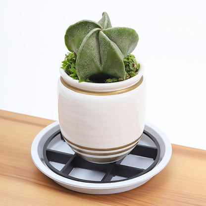 Flowerpot Riser Tray – Lift Pots for Better Airflow & Cleaner Surfaces