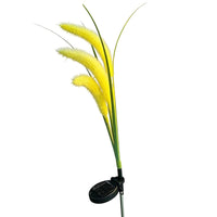 Triple Foxtail