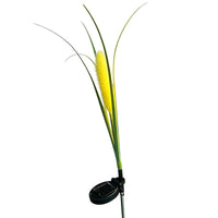 Single Foxtail